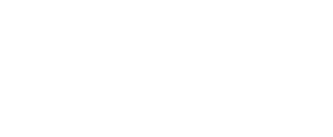 R.F. de Wit Auto's logo