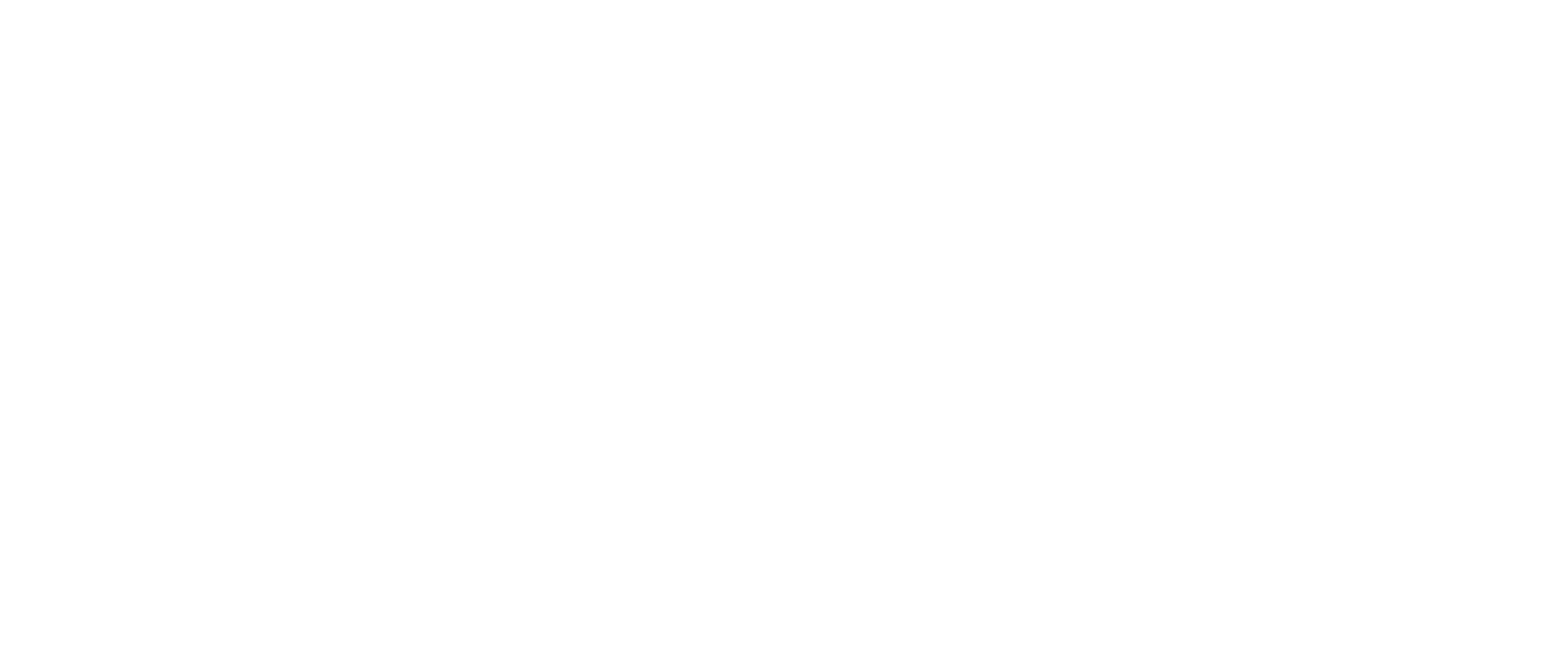 R.F. de Wit Auto's logo